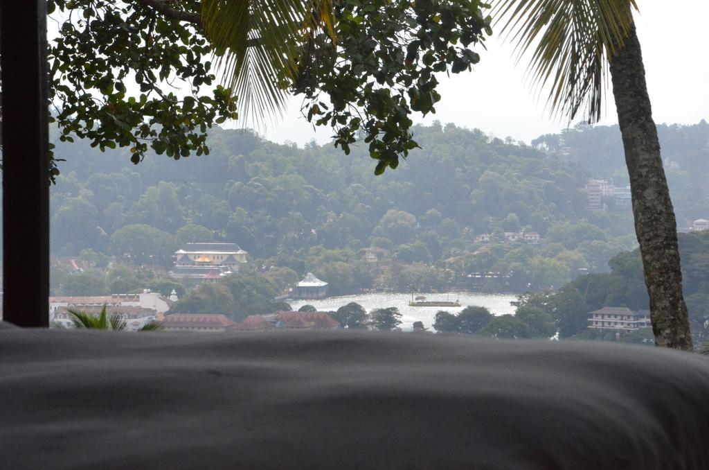 The Buena Vista Kandy Room photo